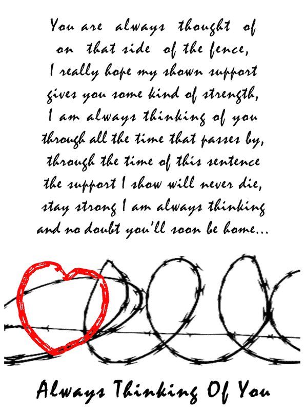 Over the fence K2 spice paper