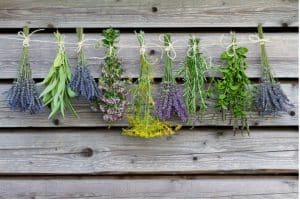 What is Herbal Empire