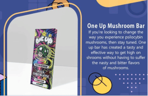 Where to Get one up Mushroom Chocolate Bar