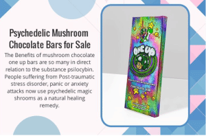 Why you should buy the most famous one-up mushroom chocolate bar