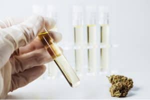 Will THC-O get you higher than THCP