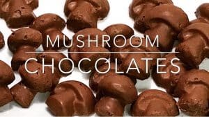 How to make mushroom chocolate bars