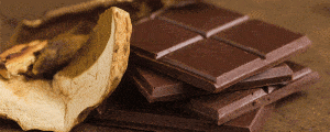 Quick Recipe of Mushroom chocolate bars